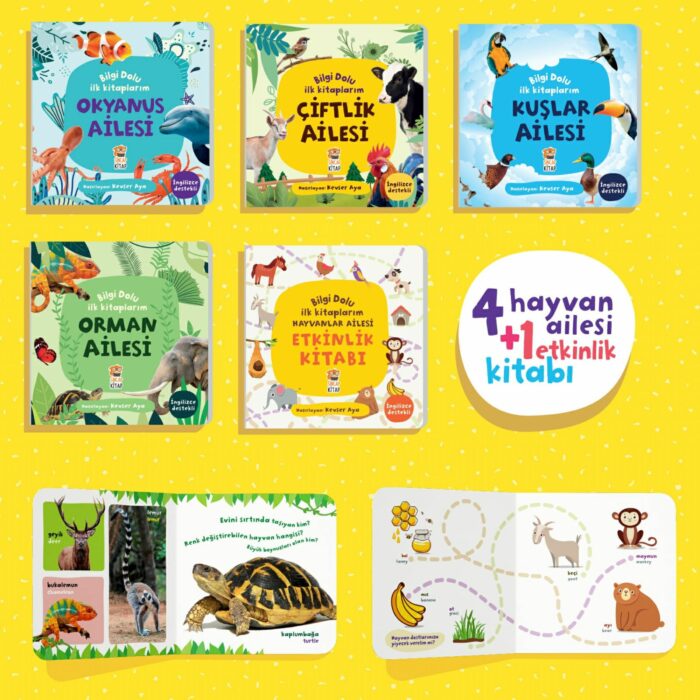 BİLGİ DOLU İLK KİTAPLARIM HAYVANLAR AİLESİ SET (5 KİTAP) – Bild 2