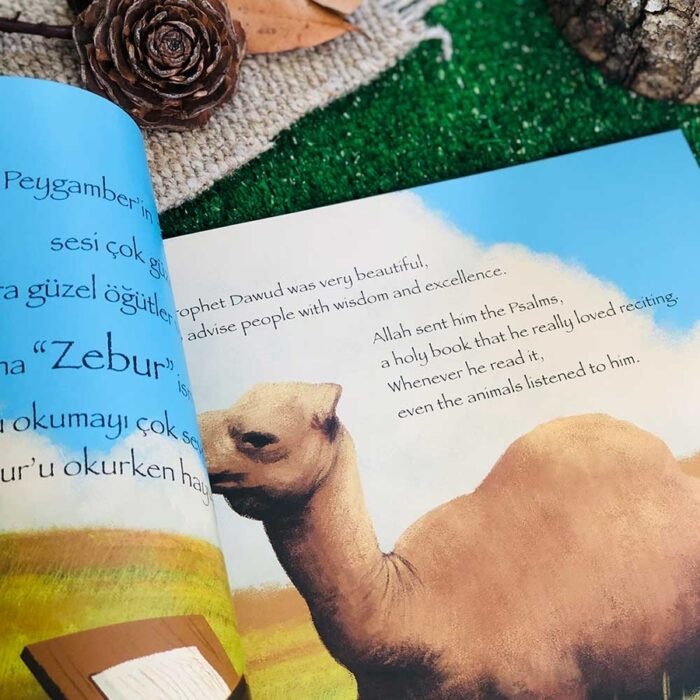 Davud Peygamber - Prophet Dawud (Türkçe-İngilizce) – Bild 3