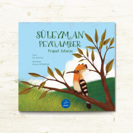Süleyman Peygamber - Prophet Salomon (Türkçe-İngilizce)