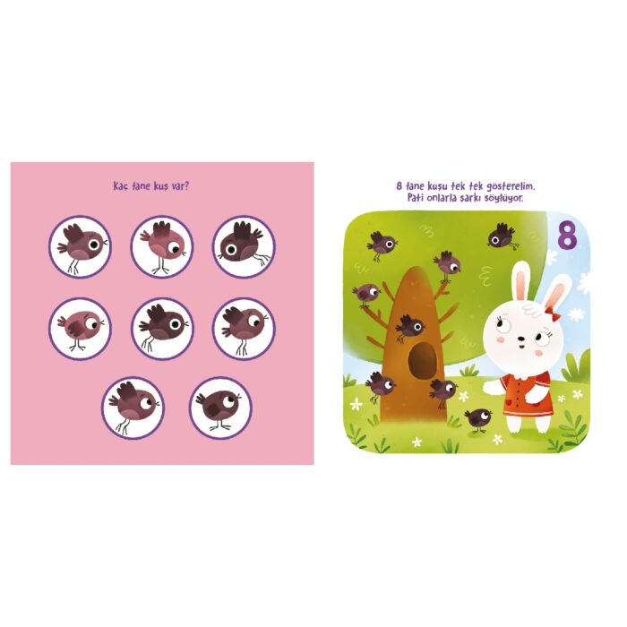 Saymayı Öğreniyorum – Bild 4