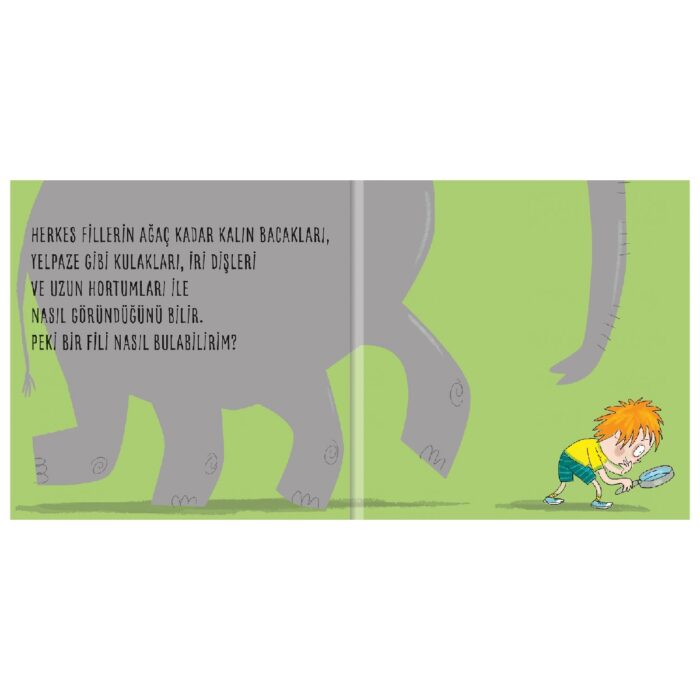 Fili Nasıl Bulurum? – Bild 3