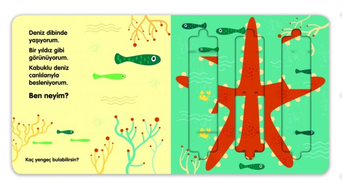 Kaydır & Gör Kitaplar – Denizdeki Canlılar – Bild 3