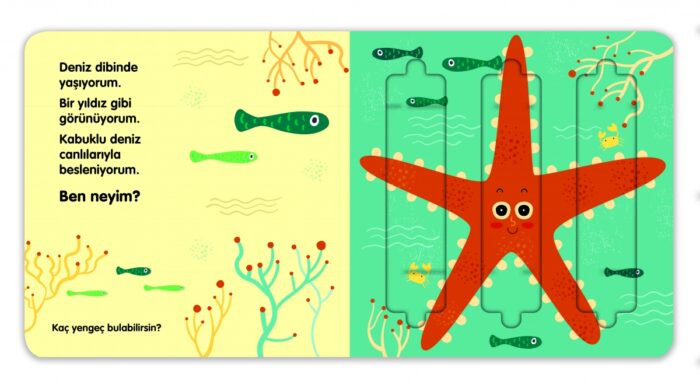 Kaydır & Gör Kitaplar – Denizdeki Canlılar – Bild 4