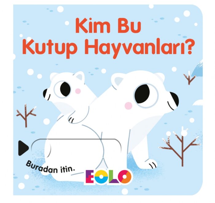Kim Bu Kutup Hayvanları? – Bild 2